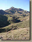 PalmSpringsGoatTrails-15JAN05-MurrayHill-EagleCanyonTrail.JPG (164787 bytes)