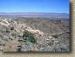 PalmSpringsGoatTrails-15JAN05-WildHorse-01.JPG (162786 bytes)