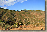 High Point Truck Trail on Palomar Mountain