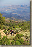 High Point Truck Trail on Palomar Mountain