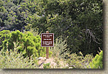 High Point Truck Trail on Palomar Mountain