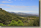 High Point Truck Trail on Palomar Mountain