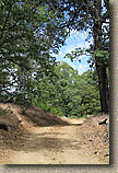 High Point Truck Trail on Palomar Mountain