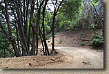 High Point Truck Trail on Palomar Mountain