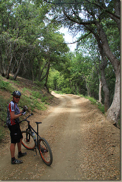 High Point Truck Trail on Palomar Mountain