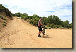 High Point Truck Trail on Palomar Mountain