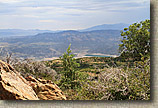 High Point Truck Trail on Palomar Mountain