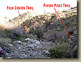 Palm Canyon Pinyon Flats Loop