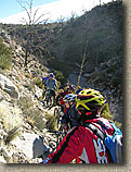 Palm Canyon Pinyon Flats Loop