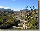 Palm Canyon Pinyon Flats Loop