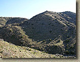 Palm Canyon Pinyon Flats Loop