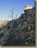 Palm Canyon Pinyon Flats Loop