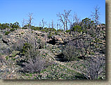 Palm Canyon Pinyon Flats Loop