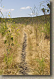 San Clemente Singletracks