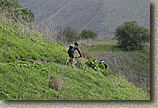 San Clemente Singletracks