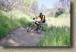 images/Trails/SSSS-2005/SoCalSSSummit-14MAY05-018-Erik.jpg