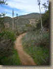 Santiago-JoplinTruckTrail-Luge-19JAN01-19-Luge-3.JPG (145841 bytes)