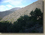 Trabuco23NOV02-08.jpg (67242 bytes)