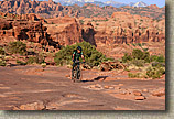 Amasa Back in Moab