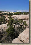 images/Trails/UT-Gooseberry2006/GooseberryMesa-8APR06-09.jpg