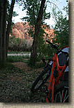 The Porcupine Rim Trail