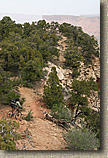 The Porcupine Rim Trail