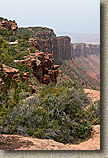 The Porcupine Rim Trail