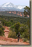 The Porcupine Rim Trail