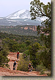 The Porcupine Rim Trail