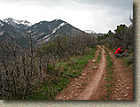 The Porcupine Rim Trail