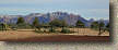 images/Trails/Utah-StGeorge/RoadTrip2005-Day3-Gooseberry-01.jpg