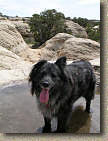 images/Trails/Utah-StGeorge/RoadTrip2005-Day3-Gooseberry-09.jpg