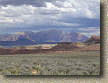 images/Trails/Utah-StGeorge/Roadtrip2005-Day4-HurricanceCliffs-19.jpg