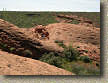 images/Trails/Utah-StGeorge/Roadtrip2005-Day9-ChurchRocks-16.jpg