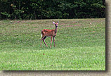 York River State Park