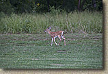 York River State Park