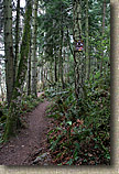 Cranberry Lake Area of Anacortes