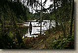 Cranberry Lake Area of Anacortes