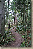 Cranberry Lake Area of Anacortes