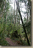 Cranberry Lake Area of Anacortes