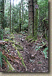 Cranberry Lake Area of Anacortes