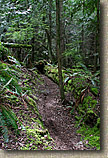 Cranberry Lake Area of Anacortes