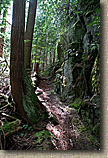 Cranberry Lake Area of Anacortes