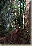 Cranberry Lake Area of Anacortes