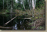 Cranberry Lake Area of Anacortes