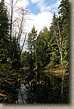 Cranberry Lake Area of Anacortes