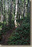 Cranberry Lake Area of Anacortes