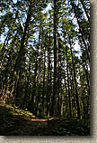 Cranberry Lake Area of Anacortes