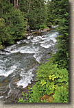 Lower Dungeness and Gold Creek Trails