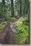 Whistle Lake Area of Anacortes